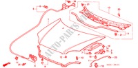 HOOD (RH) for Honda CIVIC 1.4I 3 Doors 5 speed manual 2000