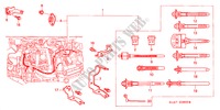 ENGINE WIRE HARNESS (DIESEL) for Honda ACCORD 2.0ITD        ECD3 4 Doors 5 speed manual 1999