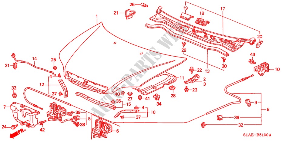 HOOD (LH) for Honda ACCORD 1.6IS 4 Doors 5 speed manual 2000