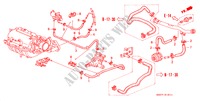 WATER HOSE (DOHC) for Honda PRELUDE 2.2VTI 2 Doors 4 speed automatic 1998