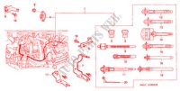 ENGINE WIRE HARNESS (DIESEL) for Honda ACCORD 2.0TDI 5 Doors 5 speed manual 2000