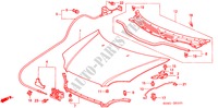 HOOD (RH) for Honda CIVIC GLI 4 Doors 5 speed manual 2000
