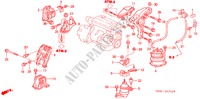 ENGINE MOUNTS (L4) (AT) (2) for Honda ACCORD 2.0VTI       CARIB 4 Doors 4 speed automatic 2001