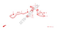 PURGE CONTROL SOLENOID VALVE (V6) for Honda ACCORD 3.0V6    SINGAPORE 4 Doors 4 speed automatic 2002