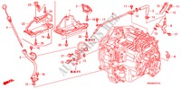 ATF PIPE(2.4L) for Honda CR-V SPRT 5 Doors 5 speed automatic 2007