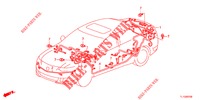 WIRE HARNESS (2) (LH) for Honda ACCORD DIESEL 2.2 COMFORT 4 Doors 6 speed manual 2013