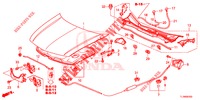 HOOD (LH) for Honda ACCORD 2.4 EXCLUSIVE 4 Doors 6 speed manual 2014