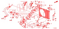RADIATOR HOSE/RESERVE TAN K (DIESEL) for Honda ACCORD DIESEL 2.2 ELEGANCE PACK 4 Doors 5 speed automatic 2015