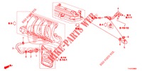 BREATHER PIPE ( '05)  for Honda JAZZ 1.4 ESL 5 Doors 5 speed manual 2012
