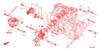 AUTO TENSIONER (2) for Honda JAZZ 1.4 EXCLUSIVE 5 Doors 6 speed manual 2019