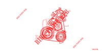     COURROIE ALTERNATEUR (DIESEL) for Honda CIVIC DIESEL 1.6 S 5 Doors 6 speed manual 2014