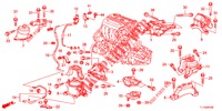 ENGINE MOUNTS (2.4L) (MT) for Honda ACCORD 2.4 S 4 Doors 6 speed manual 2012