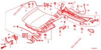 HOOD (RH) for Honda ACCORD TOURER DIESEL 2.2 S 5 Doors 6 speed manual 2013