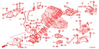 ENGINE MOUNTS (2.4L) (MT) for Honda ACCORD TOURER 2.4 EXECUTIVE 5 Doors 6 speed manual 2013