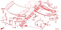 HOOD (RH) for Honda CIVIC 1.4 S 5 Doors 6 speed manual 2012