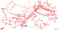 HOOD (RH) for Honda CIVIC 1.8 EX 5 Doors 6 speed manual 2012