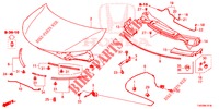 HOOD (RH) for Honda CIVIC DIESEL 2.2 EXCLUSIVE 5 Doors 6 speed manual 2012