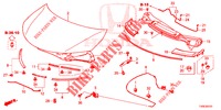 HOOD (RH) for Honda CIVIC 1.4 SE 5 Doors 6 speed manual 2014